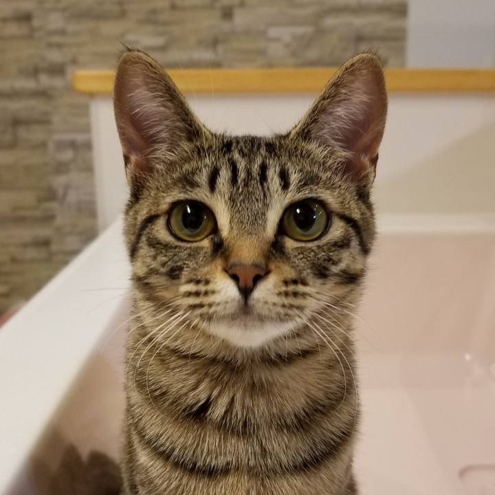 86f65ed0 3011 44e2 a87a dfb954f30535 1552923089085