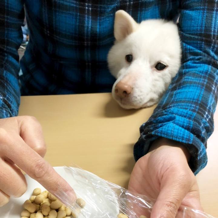 86f672d4 6e7f 4975 bcc9 16508c1732bd 1549180018557