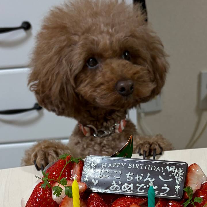 86f6769a a43b 415a 8020 80c25a7a0616 1770848652711