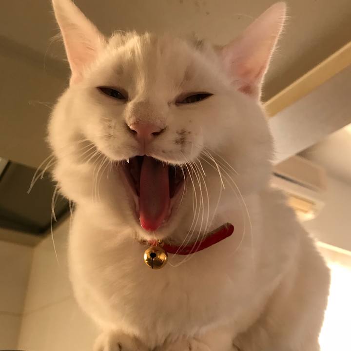 86f6a05f 50d1 48df b5da 6058081401fc 1513421259710