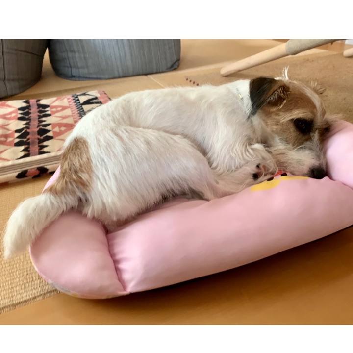 86f6dcde b942 488c aa46 2f2b4266e5c8 1628330685152