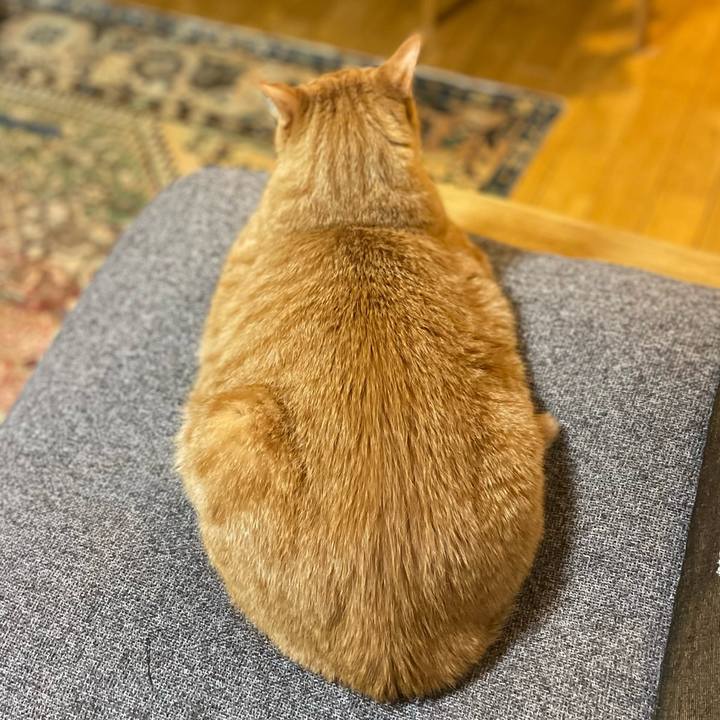 86f6fbcd f870 4440 9f05 85f28d6e43aa 1685485564328