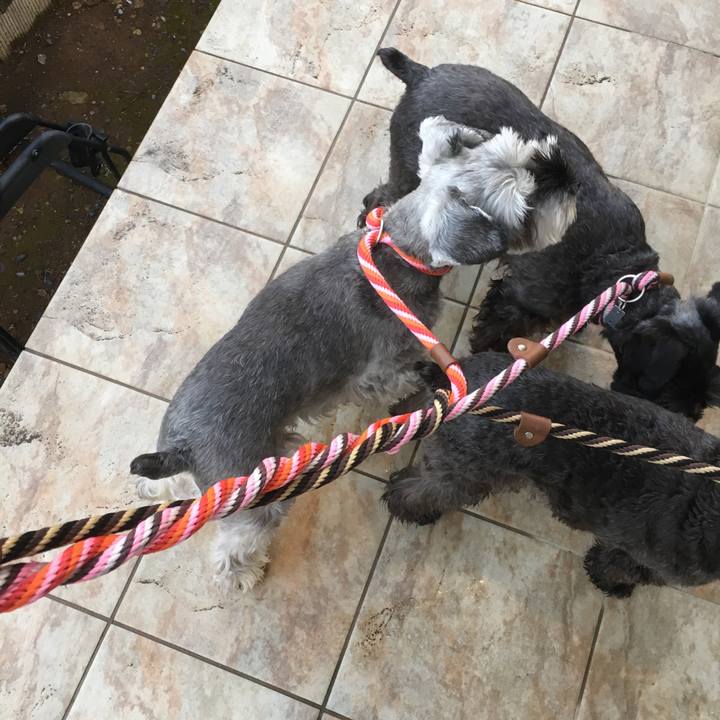 86f70a71 e4fb 4540 b0a6 d987c46ff75d 1509657788135