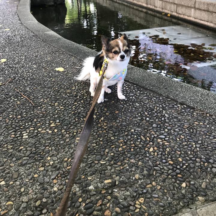 86f741ba 0477 4697 8670 f0d26b7be9d5 1534287385813