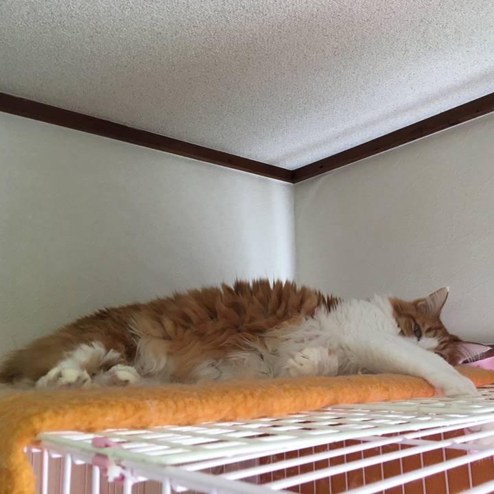 86f77959 5eb9 4986 bdc4 241295b78838 1545462434108