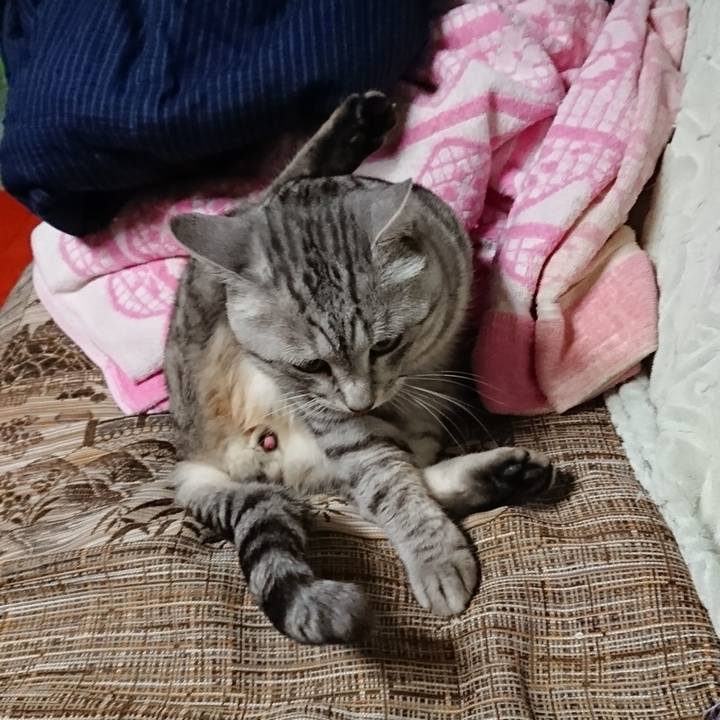 86f7f6a7 8a6f 4d2d a4f4 86097fe61315 1547374353238