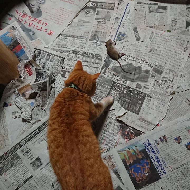 86f800c7 5461 4cc9 b23d 10f85c0c0c3f 1581508010630