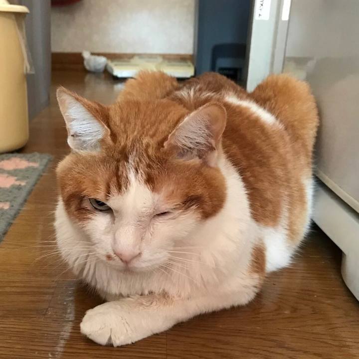 86f83aa0 e480 440e 90d5 9a8766535d60 1626478347432