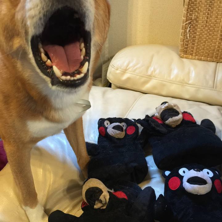 86f83d51 121c 4915 b2cc 7a3e69665dd5 1665011894422