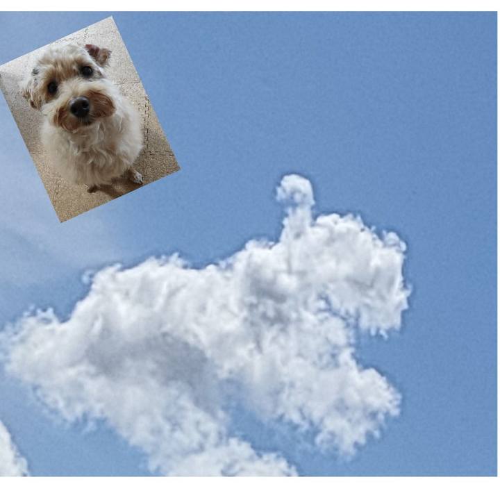 86f841a1 b2f8 4458 97ad c87fbda24c16 1600775479869