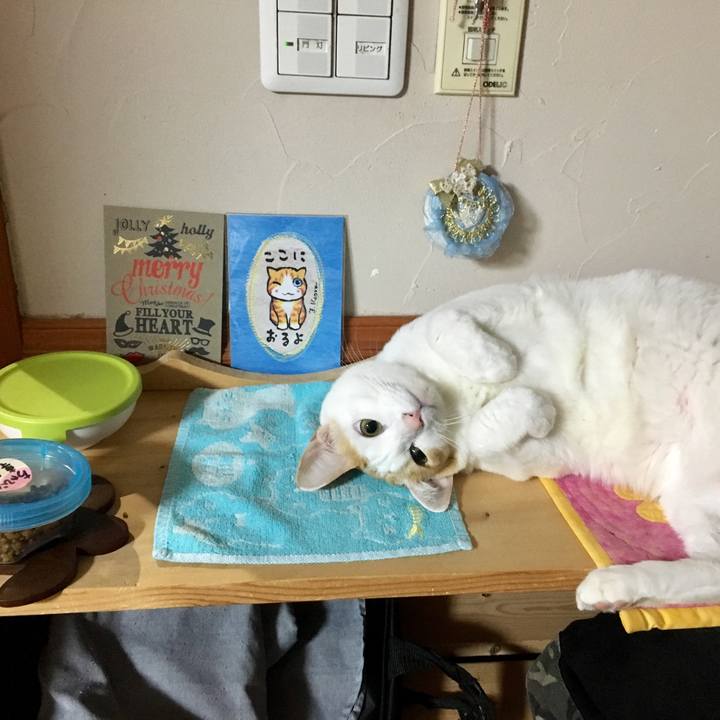 86f8420c 273c 497a 9a0a baae9d0a710b 1514025638541