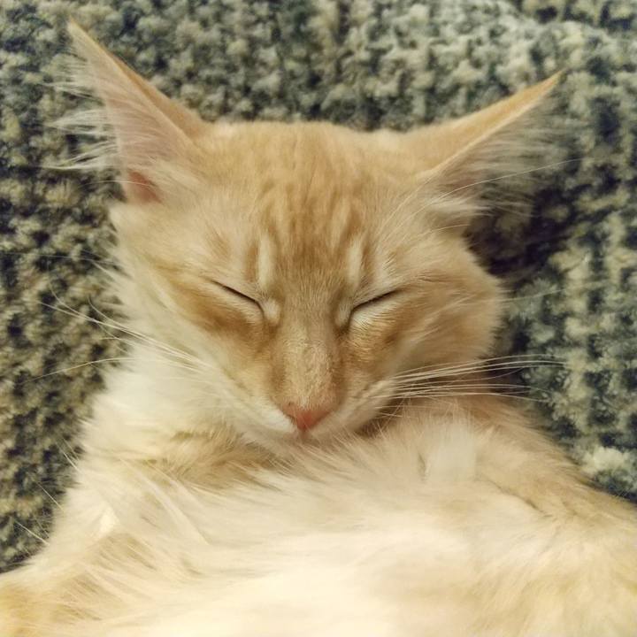 86f845f6 5900 4efa a95a 9a8e4273fbcf 1611404949684