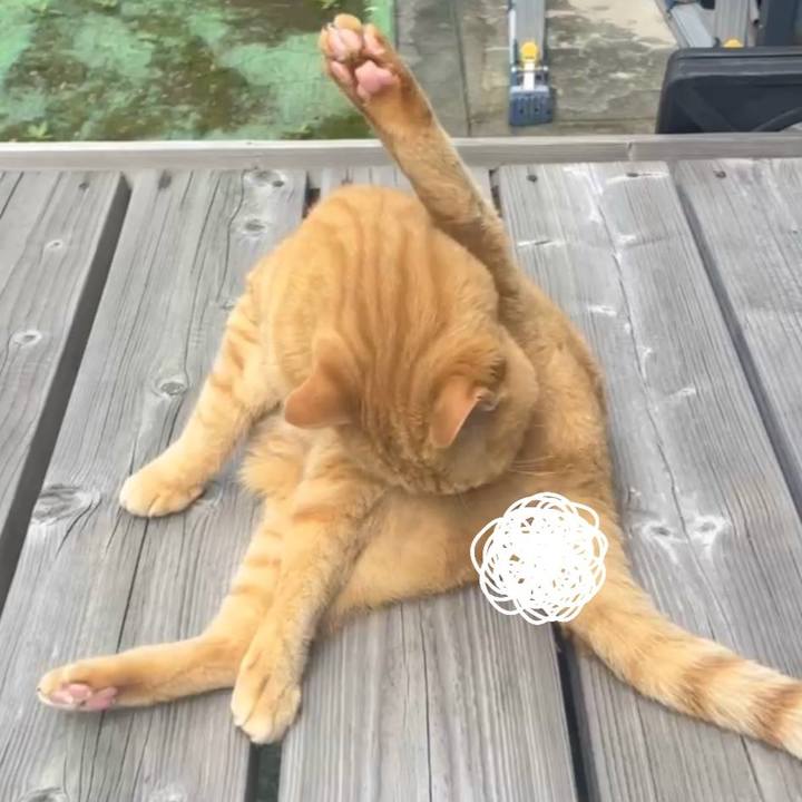 86f854ed 6dc7 41e8 845c 660e2cdf8e06 1751069041678