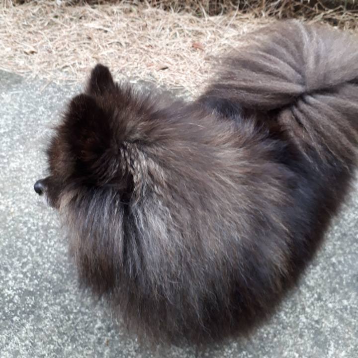 86f86732 b861 4ee5 864f 47e335c9408b 1517093854192