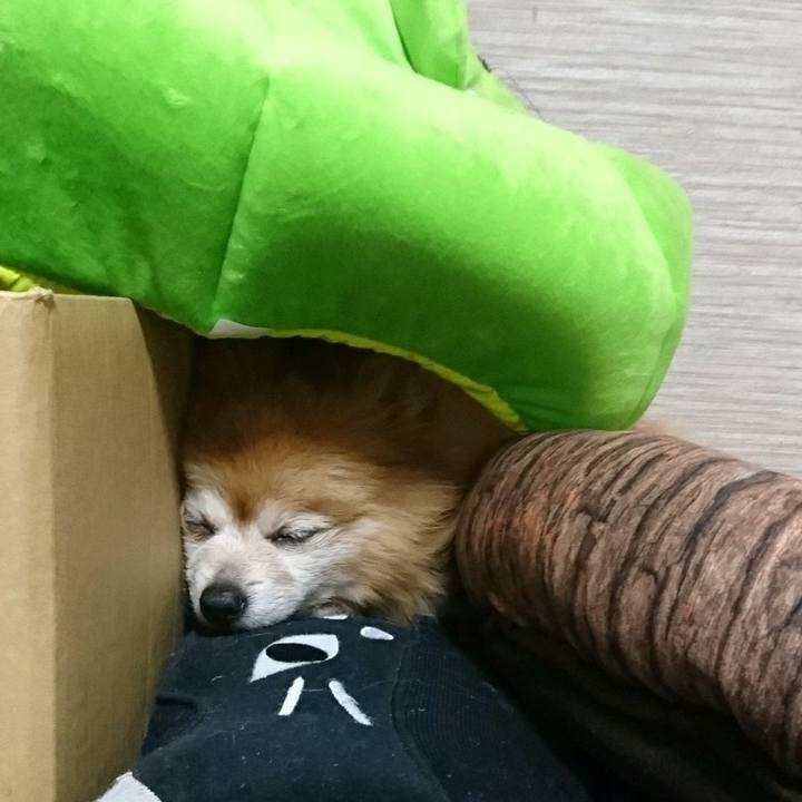 86f894d5 cfd1 49bb b148 e95df1834ed5 1555511808982