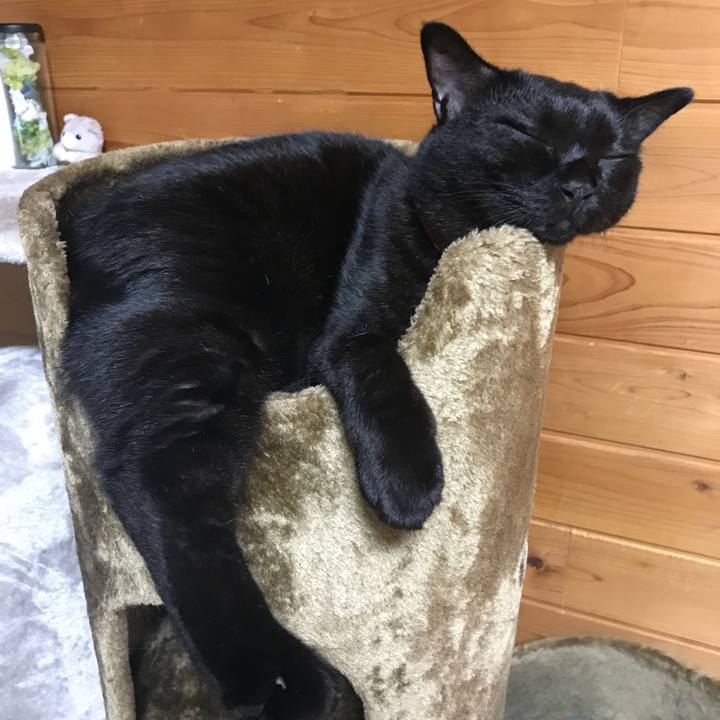 86f8b9d6 25e4 4595 85fe d365682677e4 1531913842431