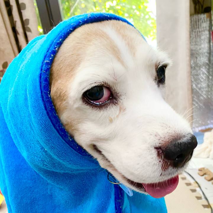 86f8ff48 51ef 45bd a175 eaf9cb5abd1a 1667450158475