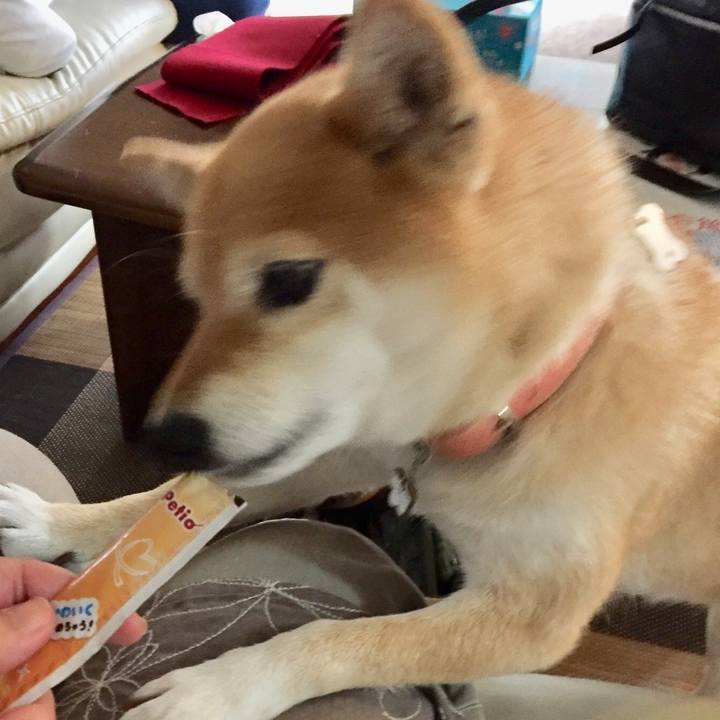 86f91b25 2624 45ca 8306 230991ac3c06 1525588567587