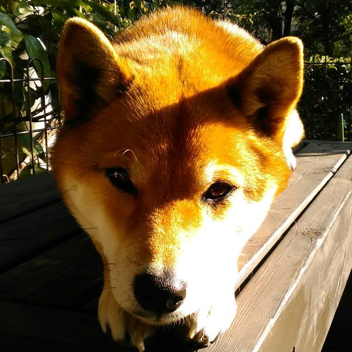 86f98273 07a9 45f1 9e31 f1a306a54ba5 1519106255084