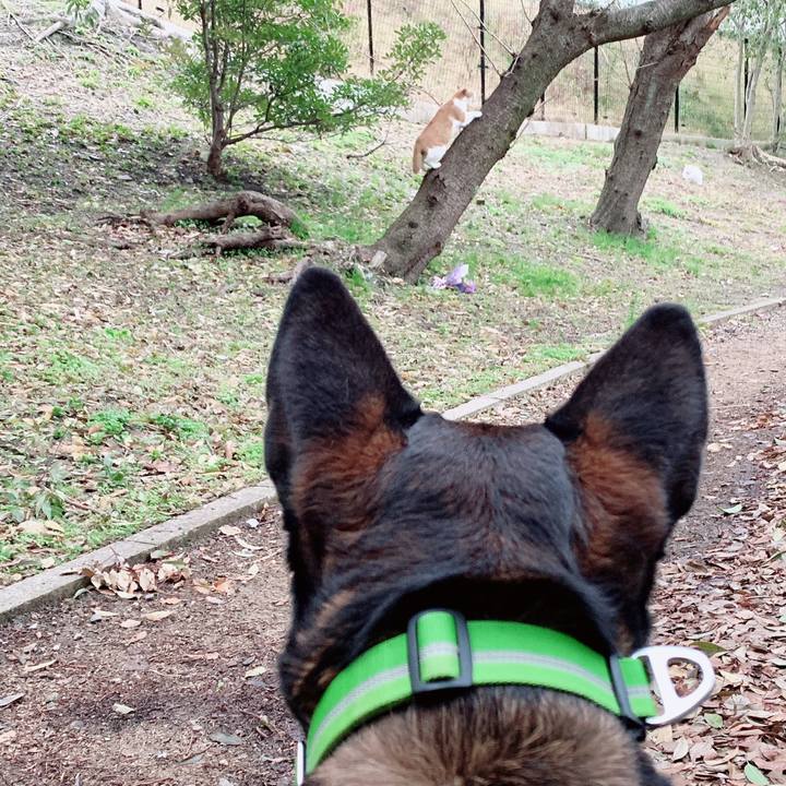 86fa45dd 813a 4fbe 87bb 86400788ee38 1581637614280