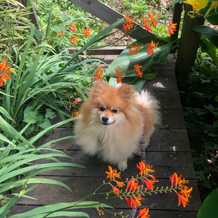 86fa7440 4f6a 4018 9d9c cade36f42931 1562833804265