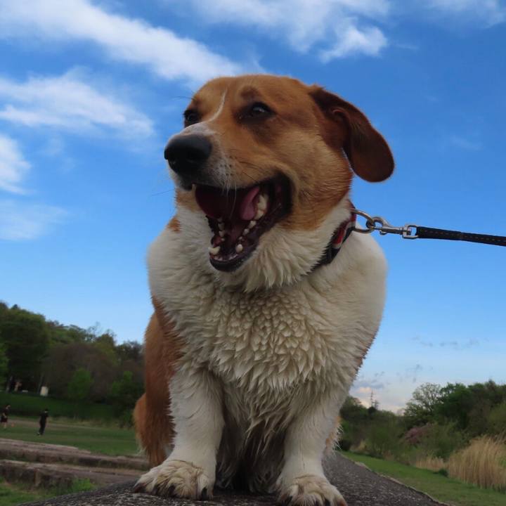 86fa7541 10ab 4f12 9fbb 4cbe699c2c08 1651882543083