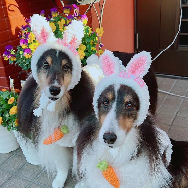 86fa9c0d e9c4 4d2f 82e6 59829f621043 1671216105334