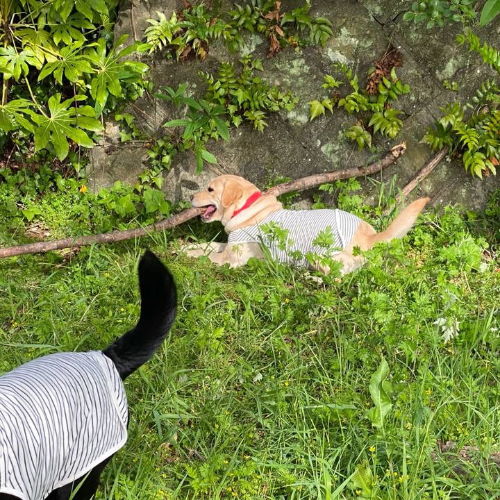 86fabfe6 8c68 4e78 ad8e 4a05324a73c9 1618068938278