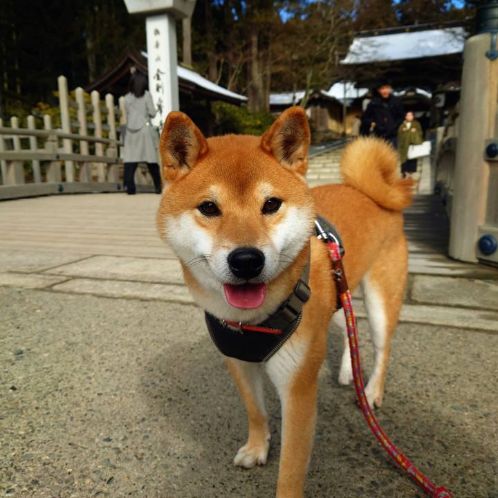 86fac16d 7487 493b bc5c 3b1d9b3acd58 1767093680830