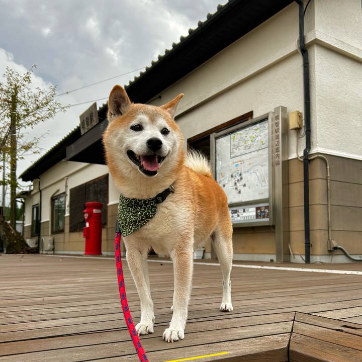 86faca9a 942d 422d 94db 35cda7184874 1760864212378