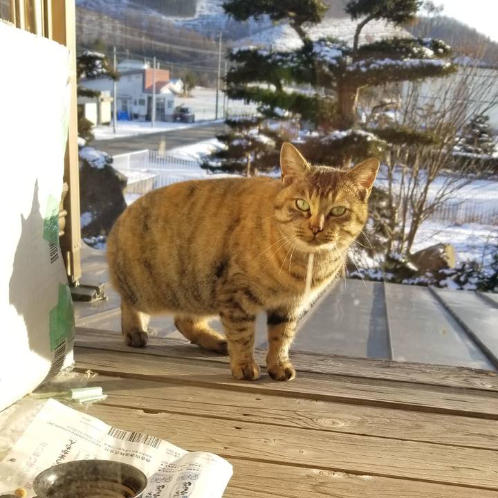 86fae540 5c89 45be a0ad 589bc66cbd0b 1670853952561