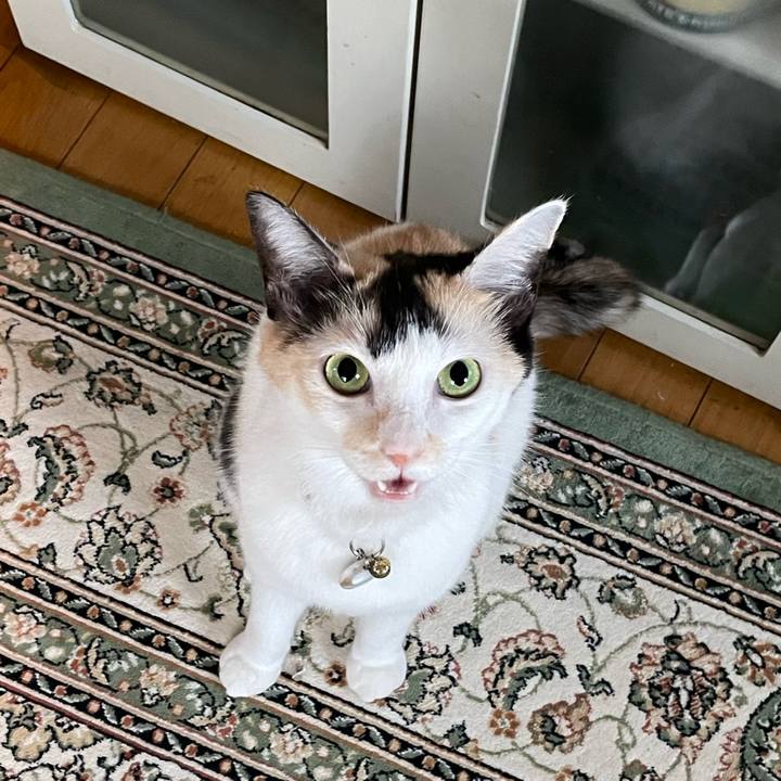 86faef79 2245 4b24 931b 0c2ffa70e501 1696197548458