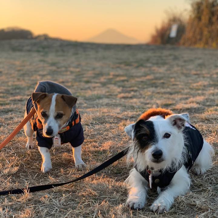 86faf99a c6a4 45c4 965a 5b7076b1b743 1609747703919