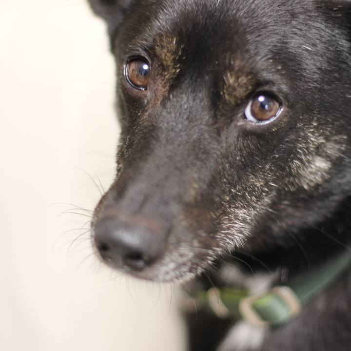 86fb1610 8efb 49c4 92d7 2e322d21cfe5 1536486801668