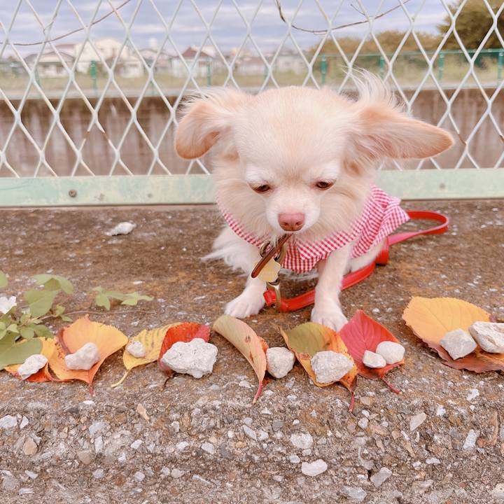 86fb21f1 b324 41ae 9376 617ac009b65c 1666079870762