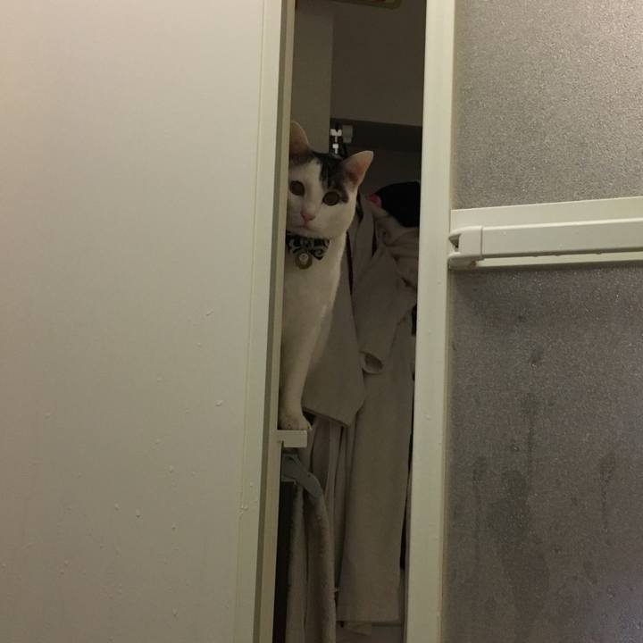 86fb2443 86f2 4ee8 ba0e c9296481a2c9 1511660447308