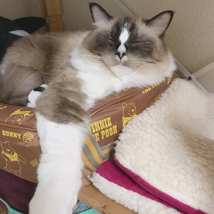 86fbc577 11d4 4ff3 b251 db687325e078 1509578561790