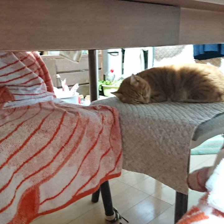 86fbdbb5 1182 4526 a45e b74d75d62e80 1605995536567