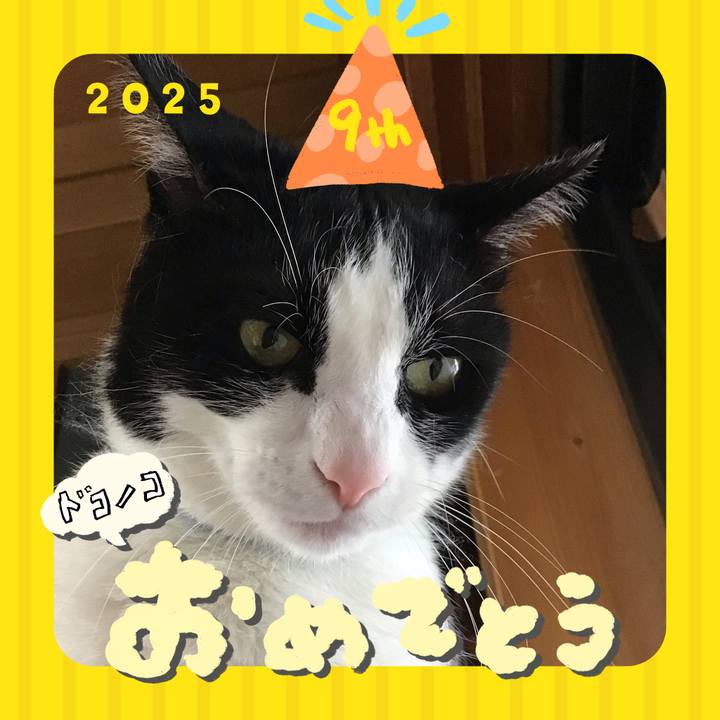 86fbe540 c1b9 41cd bce6 fa5f927c78f1 1749116551762