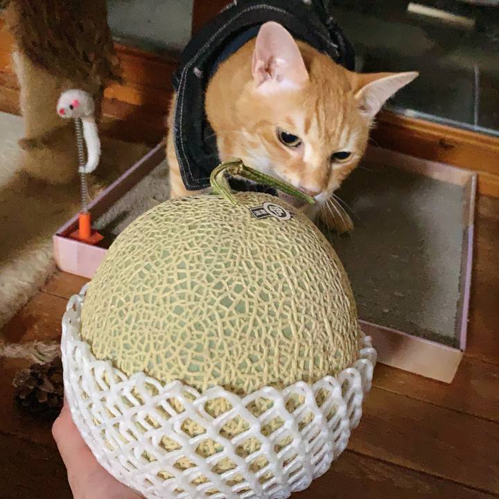 86fbed99 d9ef 458f b130 5e2069d235d5 1624965291122