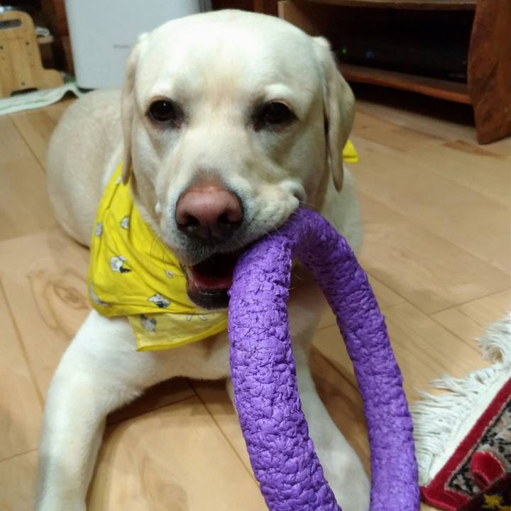 86fbfbb1 e3f9 4078 bbb3 8e98dffcfbde 1515756897049