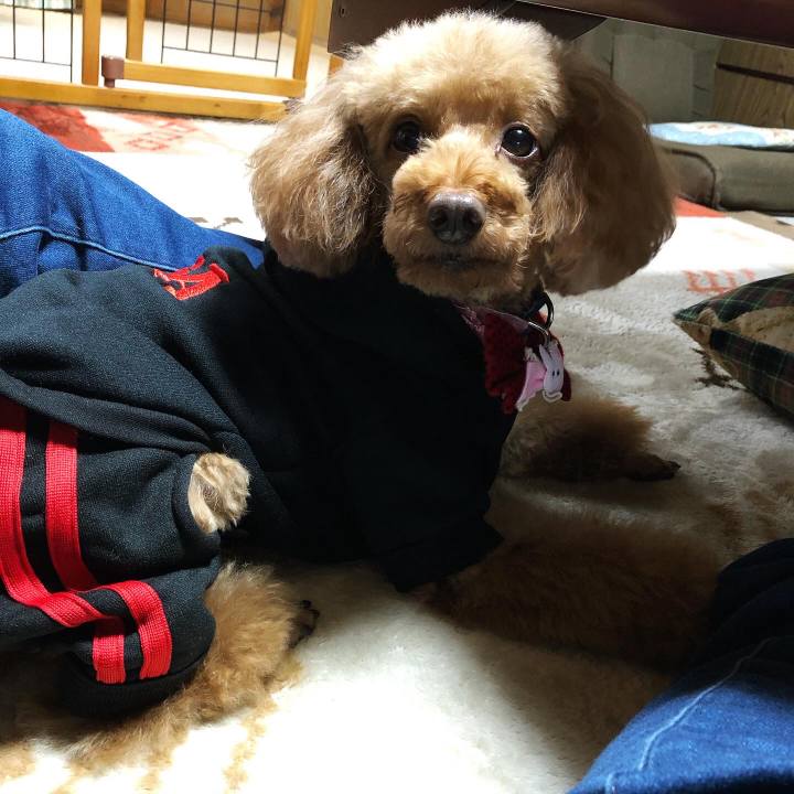 86fc070f a6d6 4f8a ba5b 3bf67c44bb04 1575379571122