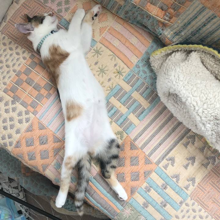 86fc99ee e566 4df2 9873 6551cb610516 1565575279426