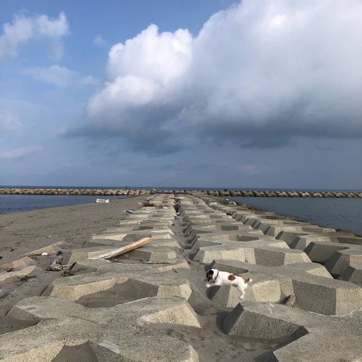 86fcb882 1bf6 48c8 98f5 8427de214cda 1598051121627