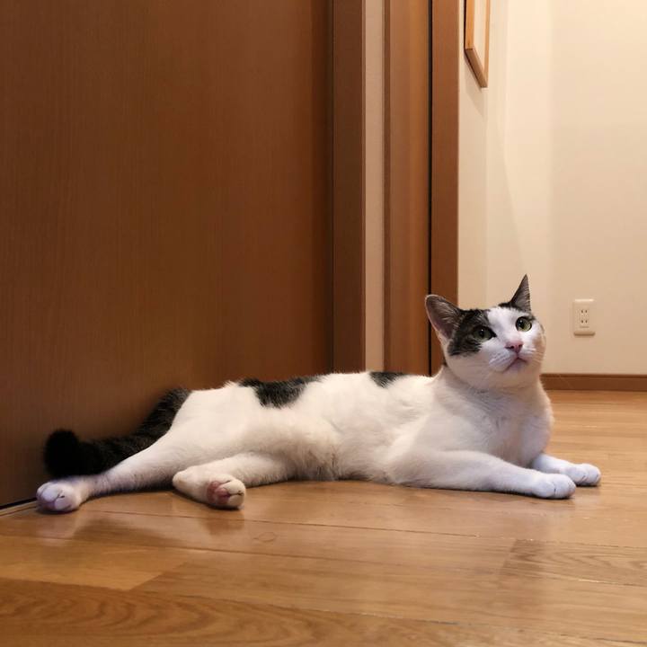 86fcc155 397b 434f 9cda f6ac80408ad4 1691328999206