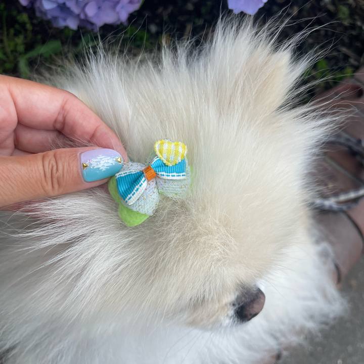 86fcd4c5 407a 4cbc b16c a3adecef1396 1717224232677