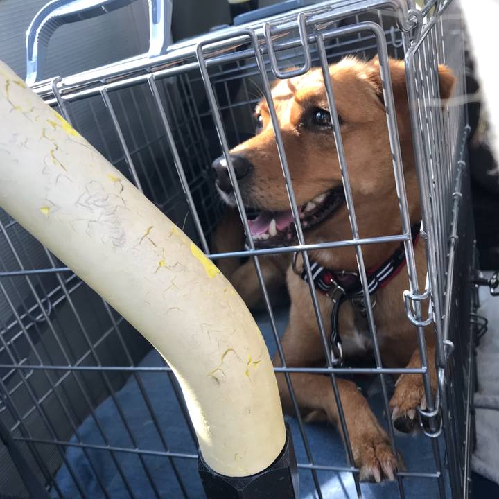 86fcd876 eb2e 4c50 805d aacb19eb63d4 1543560576576