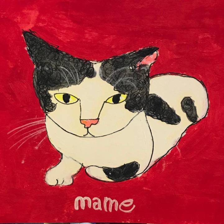 86fcdcfc 4397 4134 8349 f89f11357953 1580737571381