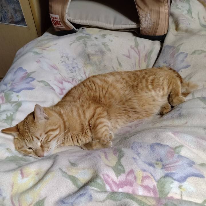 86fcf9cd b479 42ff a344 c857bcbff87f 1679919945293