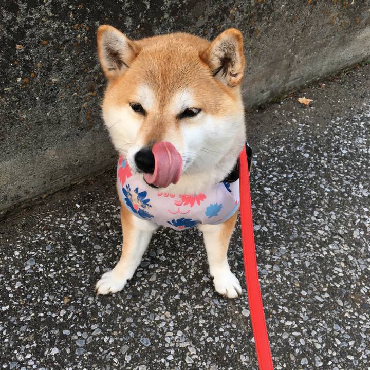 86fd7730 0e07 4183 8209 af7bd9c551c1 1589449701606